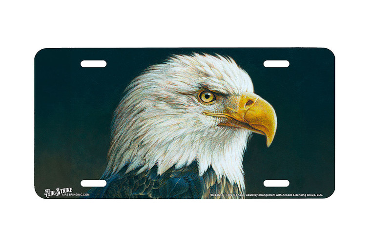 "Resolute" - Decorative License Plate