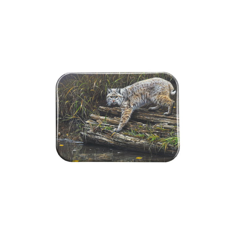 "Catwalk II" - 2.5" X 3.5" Rectangle Fridge Magnets