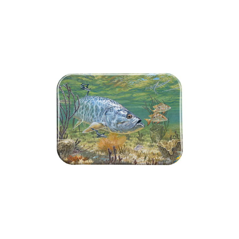 "Marquesas Keys Tarpon II" - 2.5" X 3.5" Rectangle Fridge Magnets