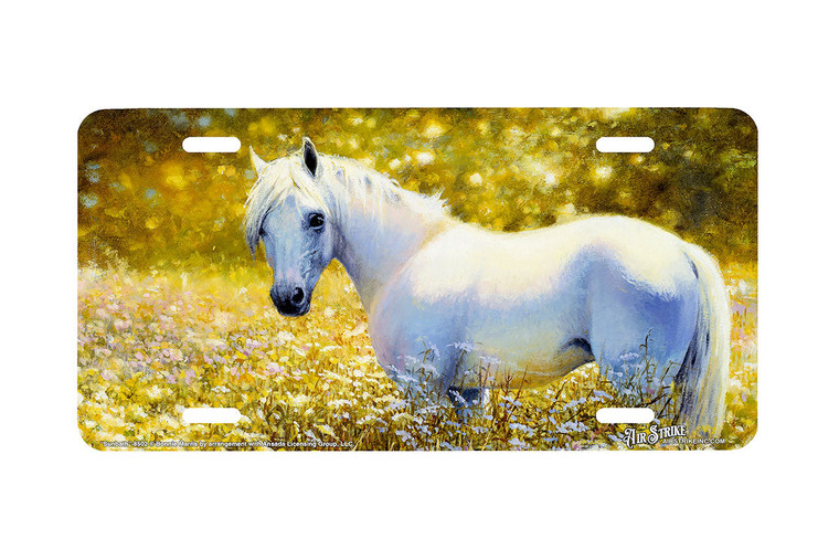 "Sunbath" - Decorative License Plate