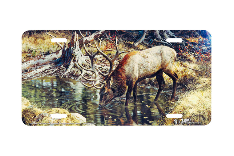 "Quiet Pool" - Decorative License Plate