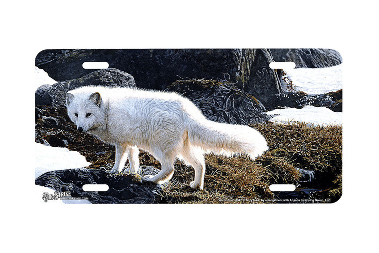 "Arctic Sun" - Decorative License Plate