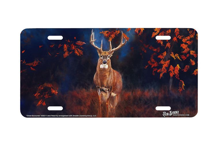 "Close Encounter" - Decorative License Plate
