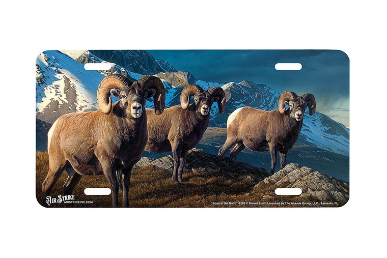 "Boys in the Band" - Decorative License Plate