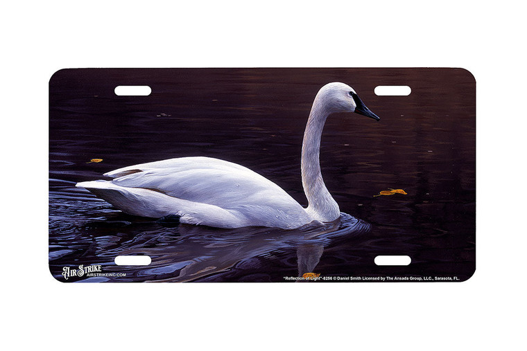 "Reflection of Light" - Decorative License Plate