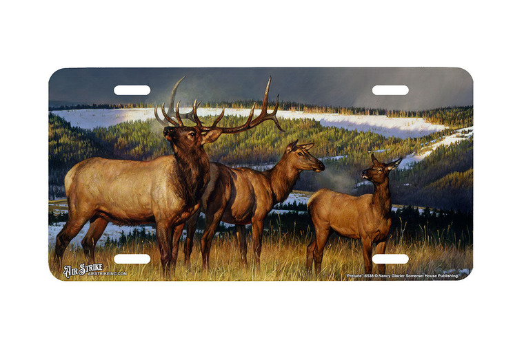 "Prelude" - Decorative License Plate