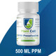 Plant Cell Preservation