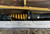 Snow Wing - 1100531