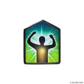 Spilla dello status effect "The Echo" di FINAL FANTASY XIV