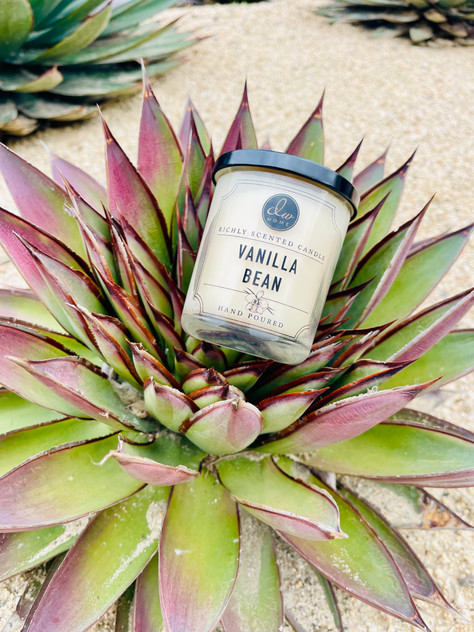 VANILLA BEAN MINI CANDLE