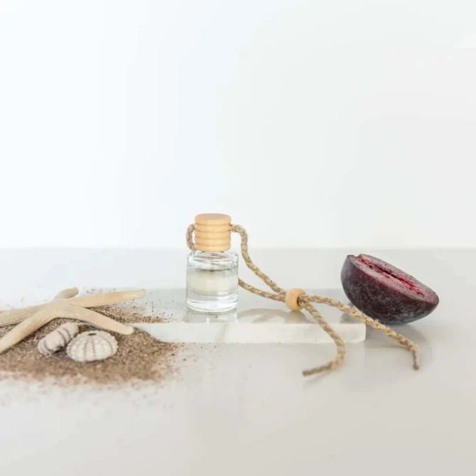 Hanging Car Fragrance Diffuser | Refillable Luxury Car Air Freshener