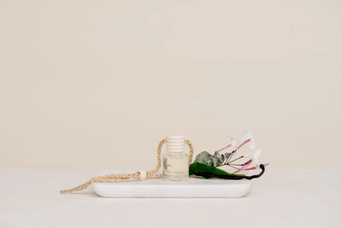 Hanging Car Fragrance Diffuser | Refillable Luxury Car Air Freshener