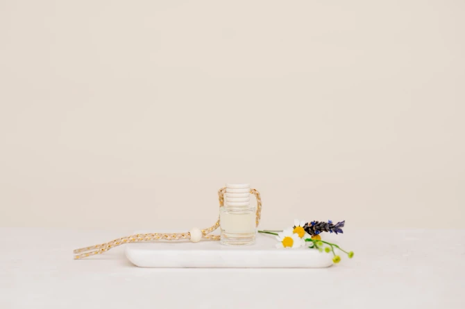 Hanging Car Fragrance Diffuser | Refillable Luxury Car Air Freshener