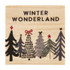 TREASURE BOX EARRINGS - WINTER WONDERLAND