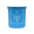INCREDIBLE BLUEBERRY CANDLE