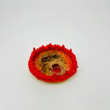  Fire Skull - Ashtray  Fire Skull - AshtrayÂ