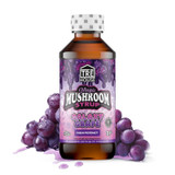 Tre House - Magic Mushroom Syrup - 4oz Tre House - Magic Mushroom Syrup - 4oz