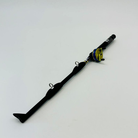 Bbq Lighter Techno Fishing Rod