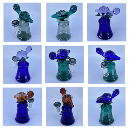 Waterpipe 6" Inch With Turtle Perc