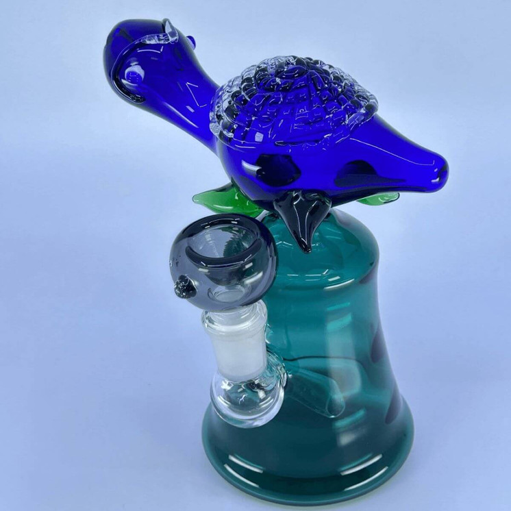 Waterpipe 6" Inch With Turtle Perc
