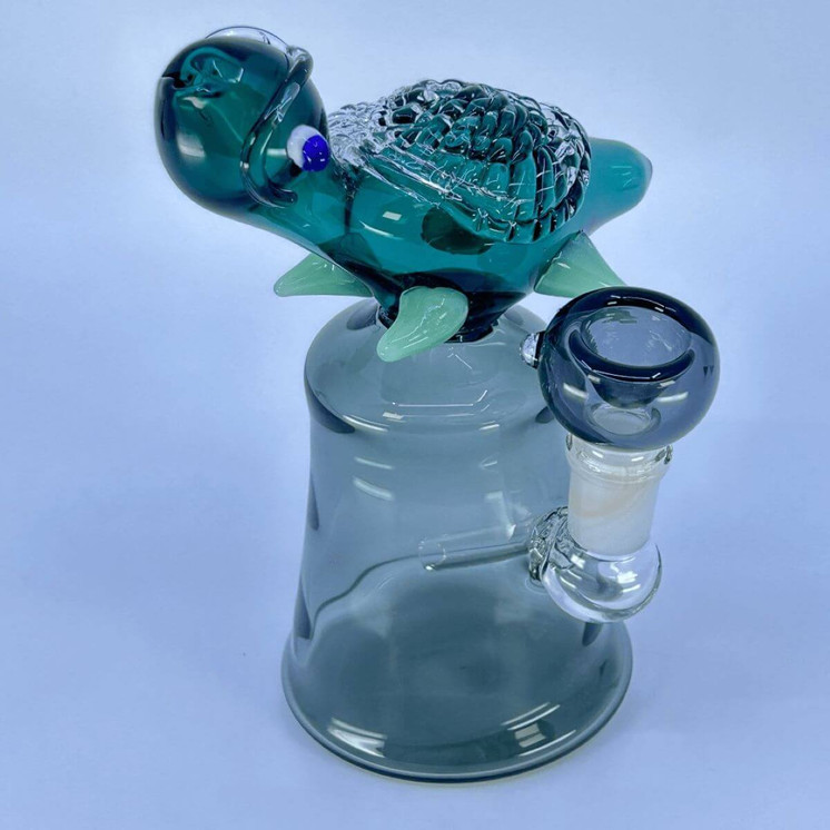 Waterpipe 6" Inch With Turtle Perc