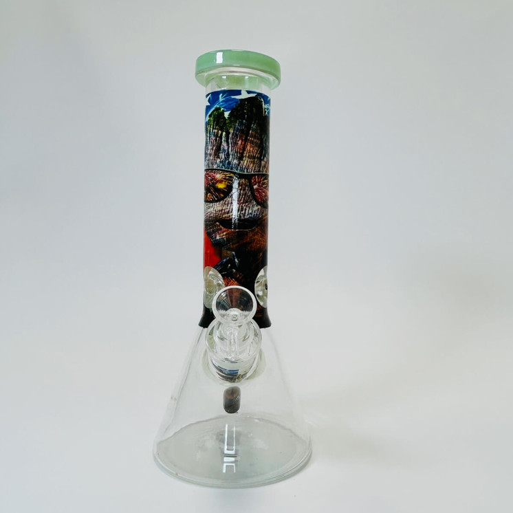 Waterpipe 12" Inch - Beaker With Colored Mouthpiece and Asst Design Tube and Glow in the Dark Base - Lightgreen/black