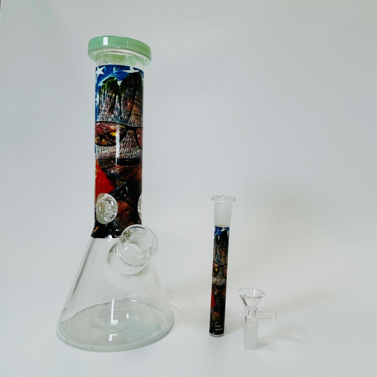 Waterpipe 12" Inch - Beaker With Colored Mouthpiece and Asst Design Tube and Glow in the Dark Base - Lightgreen/black