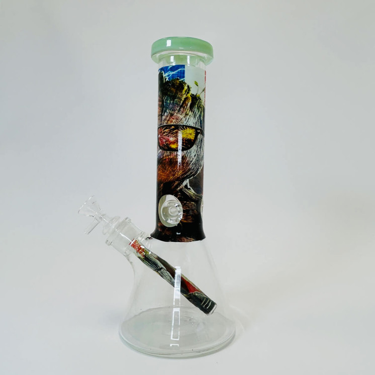 Waterpipe 12" Inch - Beaker With Colored Mouthpiece and Asst Design Tube and Glow in the Dark Base - Lightgreen/black