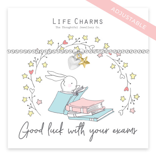 Good Luck With Your Exam Pin Gift By Chameleon and Co |  notonthehighstreet.com