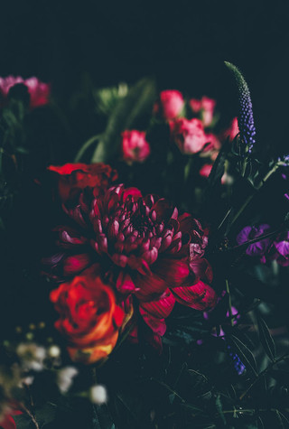 Floral 3