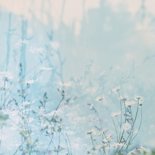 Spring Flowers Kitty 5