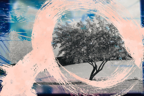 Landscape with Incoherence