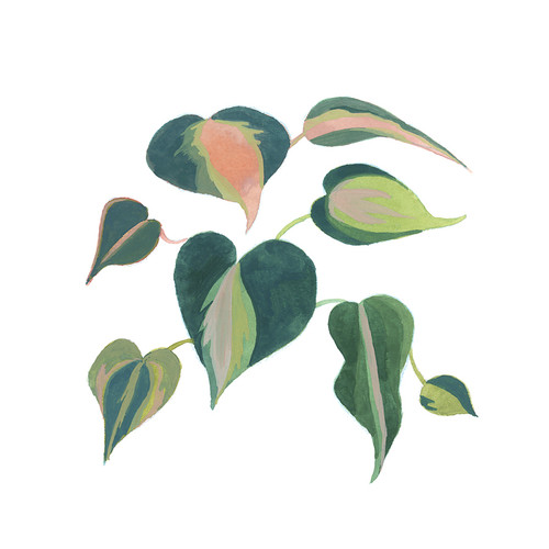 Ivy Sprout Pink Ivy Sprout Pink
