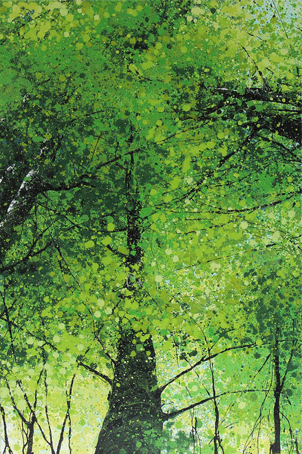 Green Canopy II