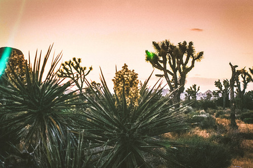 Lightleaks 5