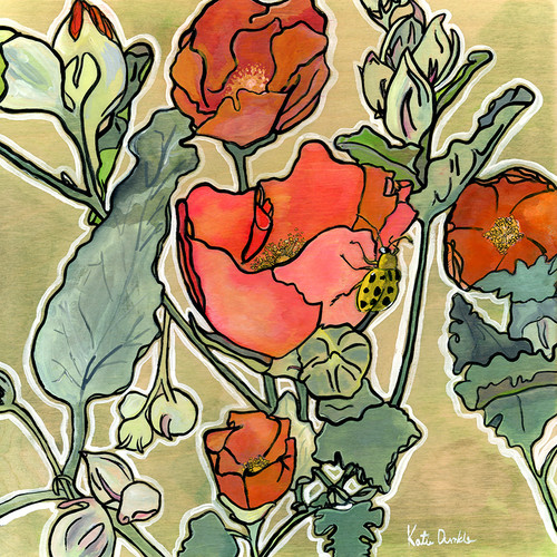 Globe Mallow
