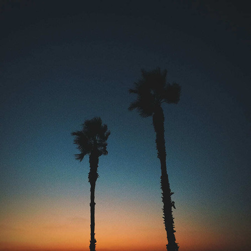 Sunset Palms