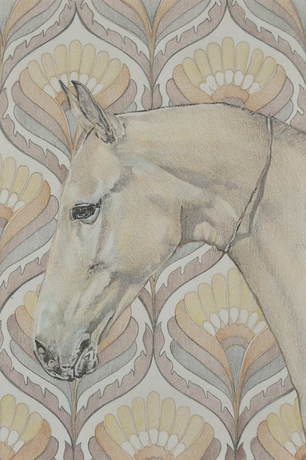 Akhal Teke