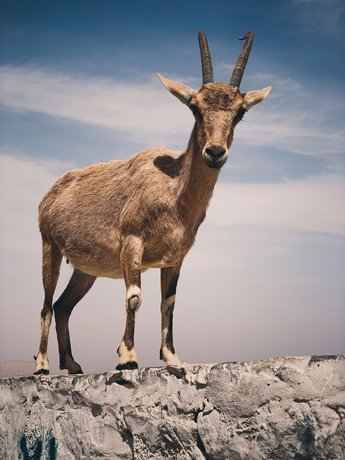 Views from the Top 3