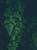 Greenery