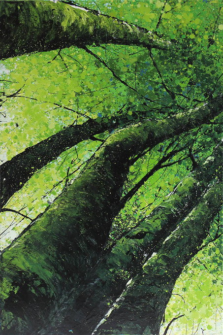 Green Canopy I