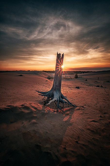 Last Light Silver Lakes Dunes, Michigan