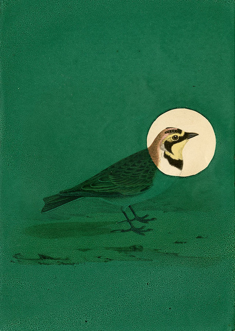 Antique Bird Green