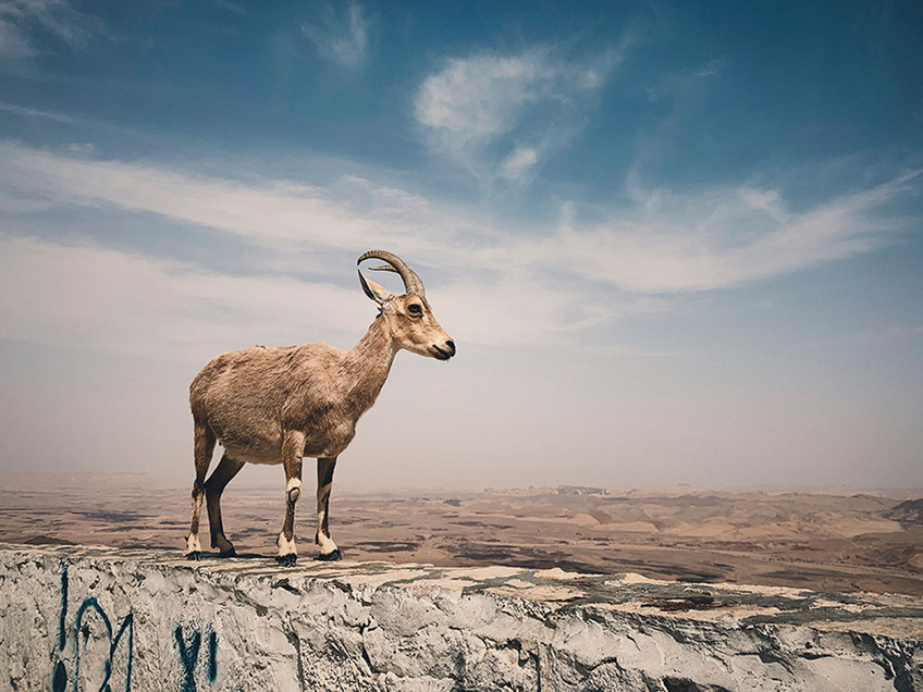 Views from the Top 1