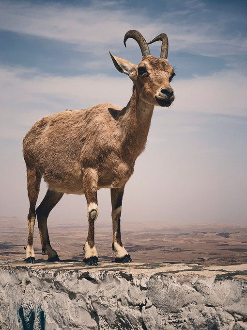 Views from the Top 2