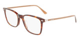 Calvin Klein CK22541 235 (55)