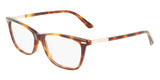 Calvin Klein CK22506 220 (54)