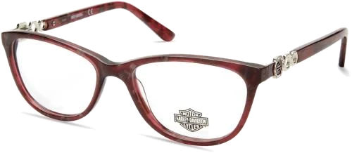 Harley Davidson HD0554 069 (51)