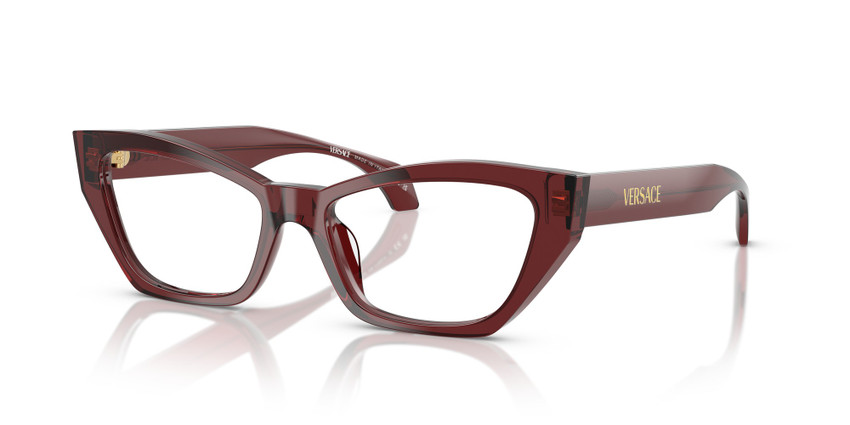 Versace 3373U 5512 (54)