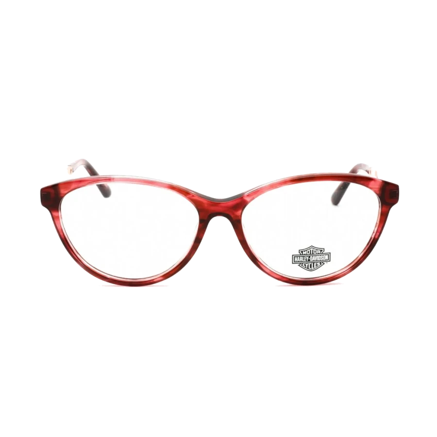 Harley Davidson HD0570 096 (55)
